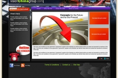 visionchinagroup